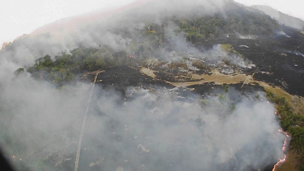 Why the Amazon Rainforest is Burning